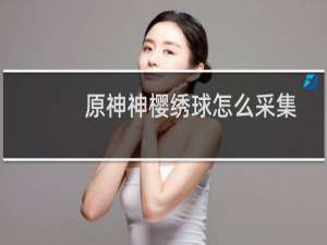 原神神樱绣球怎么采集