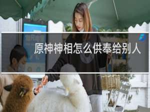 原神神相怎么供奉给别人