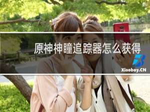 原神神瞳追踪器怎么获得