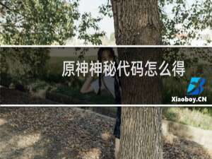 原神神秘代码怎么得