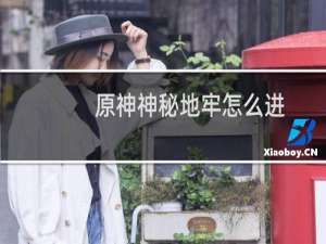 原神神秘地牢怎么进