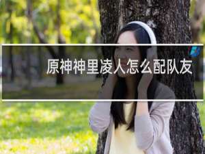 原神神里凌人怎么配队友