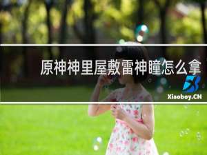 原神神里屋敷雷神瞳怎么拿