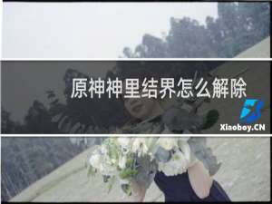 原神神里结界怎么解除