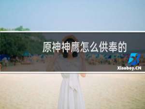 原神神鹰怎么供奉的