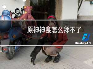 原神神龛怎么拜不了