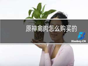 原神禽肉怎么购买的