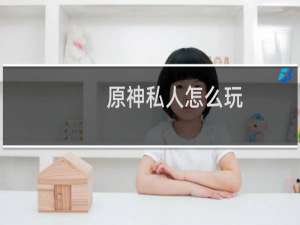 原神私人怎么玩