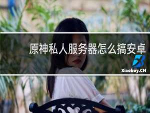 原神私人服务器怎么搞安卓
