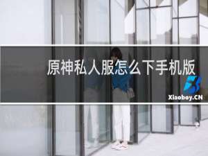 原神私人服怎么下手机版