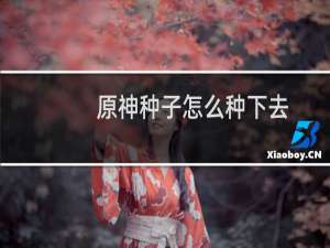 原神种子怎么种下去