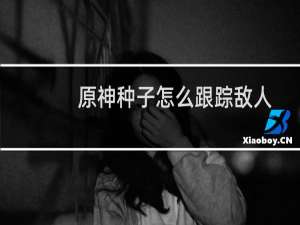 原神种子怎么跟踪敌人