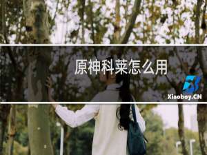 原神科莱怎么用