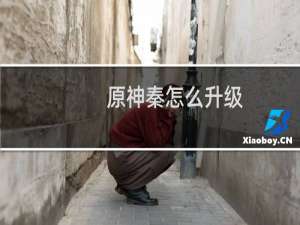 原神秦怎么升级