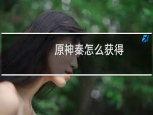 原神秦怎么获得