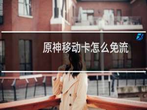 原神移动卡怎么免流