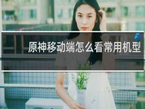 原神移动端怎么看常用机型