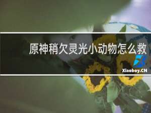 原神稍欠灵光小动物怎么救