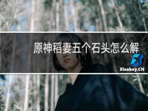 原神稻妻五个石头怎么解