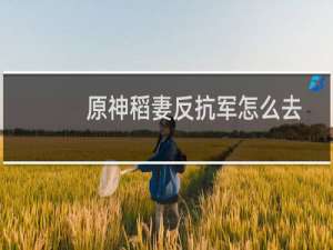 原神稻妻反抗军怎么去