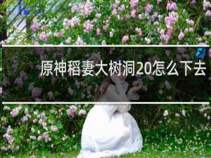 原神稻妻大树洞 怎么下去