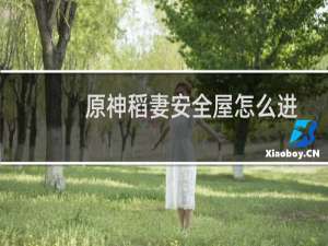 原神稻妻安全屋怎么进