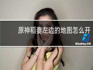 原神稻妻左边的地图怎么开