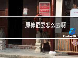 原神稻妻怎么去啊