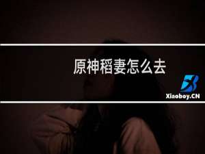 原神稻妻怎么去