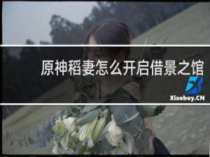 原神稻妻怎么开启借景之馆