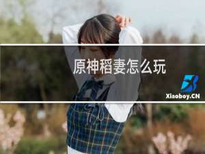 原神稻妻怎么玩