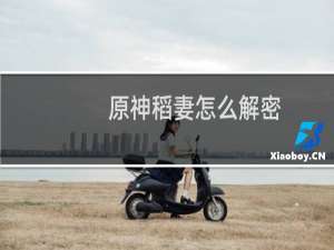 原神稻妻怎么解密