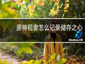 原神稻妻怎么记录储存之心