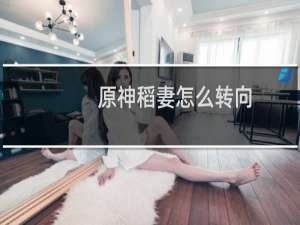 原神稻妻怎么转向