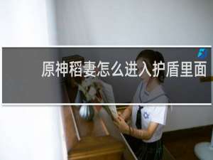 原神稻妻怎么进入护盾里面