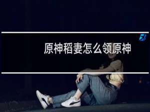 原神稻妻怎么领原神