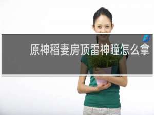 原神稻妻房顶雷神瞳怎么拿