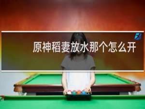 原神稻妻放水那个怎么开
