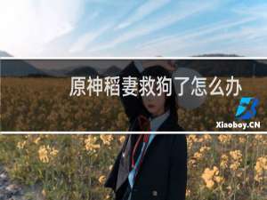 原神稻妻救狗了怎么办