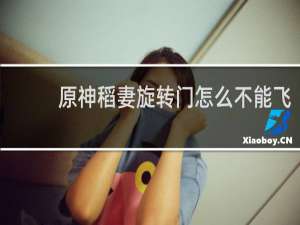 原神稻妻旋转门怎么不能飞