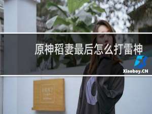 原神稻妻最后怎么打雷神