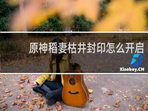 原神稻妻枯井封印怎么开启