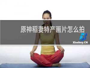 原神稻妻特产画片怎么拍