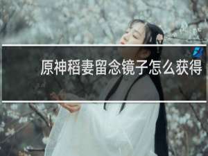 原神稻妻留念镜子怎么获得