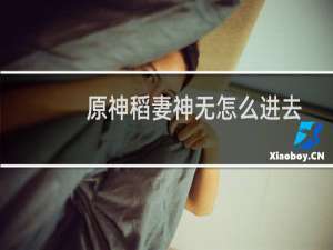 原神稻妻神无怎么进去