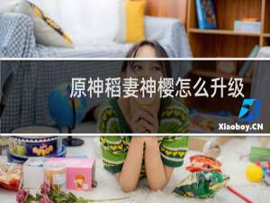 原神稻妻神樱怎么升级
