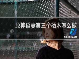 原神稻妻第三个栖木怎么做