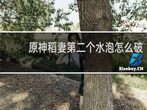 原神稻妻第二个水泡怎么破