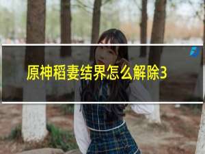 原神稻妻结界怎么解除3