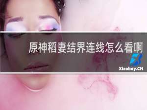 原神稻妻结界连线怎么看啊